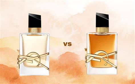 ysl vs valentino|valentino vs ysl libre.